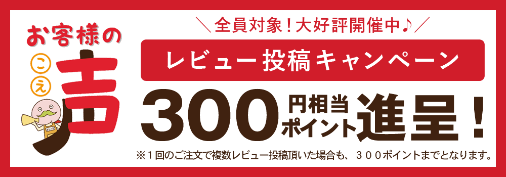 レビュー投稿で300ポイント（円相当）プレゼントキャンペーンを実施中
